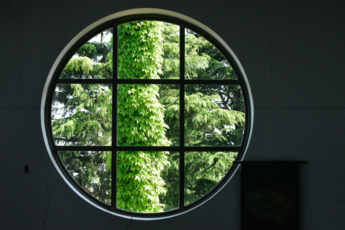 في مدار الرحمة الإلهية